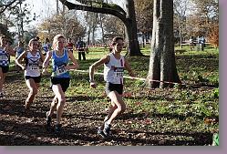 Begles 15.12.13 01 720 * 679 x 453 * (217KB)